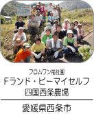 F�����h�E�r�[�}�C�Z���t�l������_��